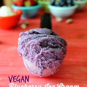 Vegan Blueberry Ice Cream