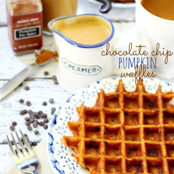 With a sweet pumpkin flavor and warm fall spices, these Chocolate Chip Pumpkin Waffles are an irresistibly perfect treat for this time of year! (gluten-free, dairy-free, low-calorie, high-protein)