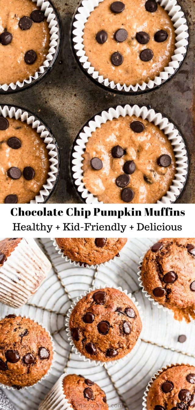 making Chocolate Chip Pumpkin Muffins