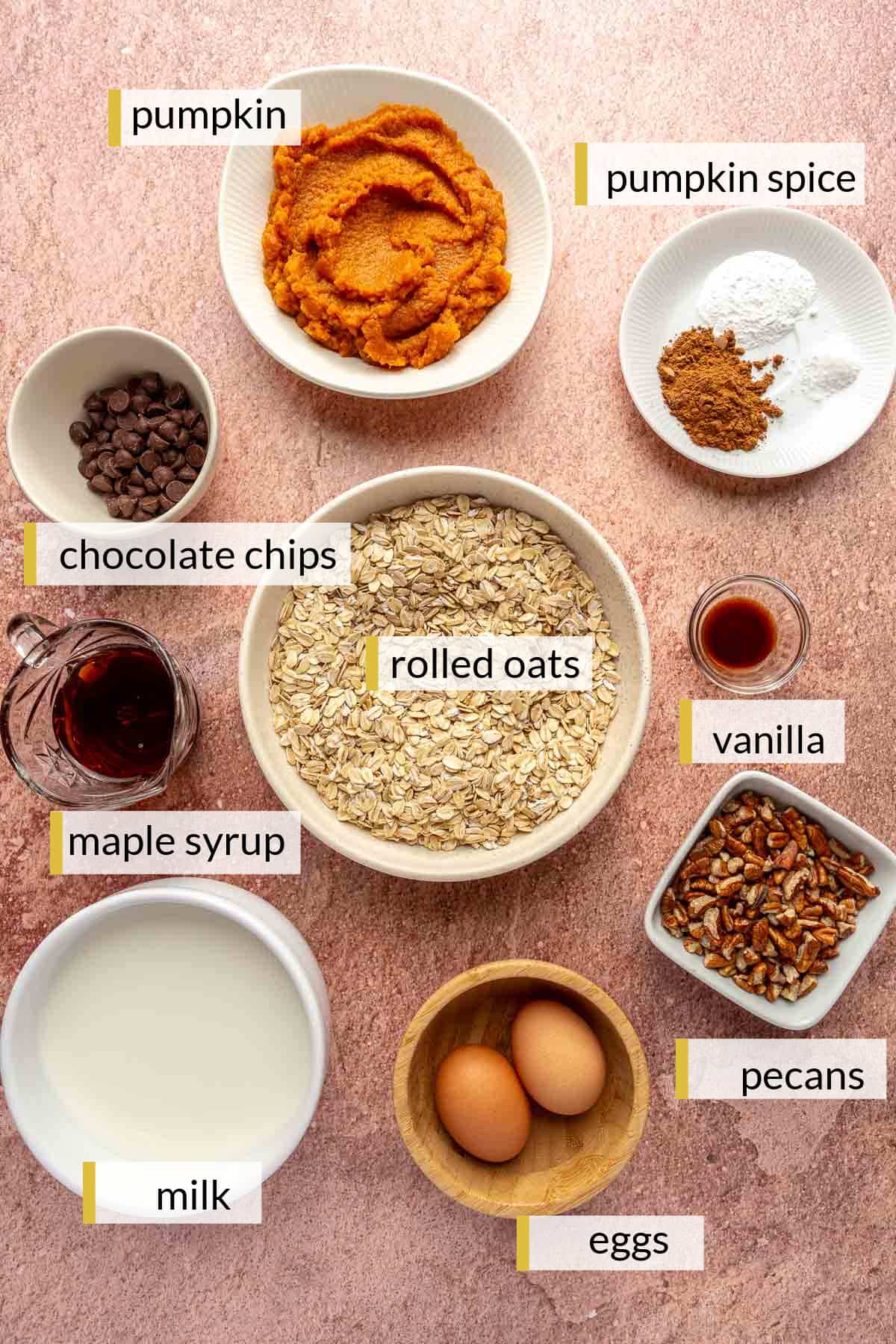 Oats, pumpkin, milk, spices, vanilla, eggs, pecans and chocolate chips divided into small bowls.