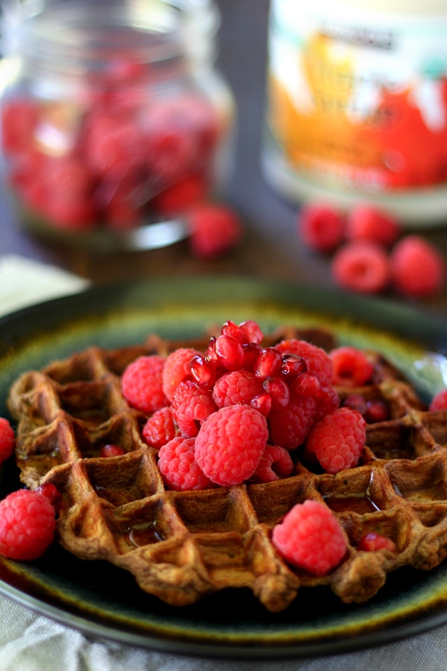 These single-serving Chocolate Protein Waffles are packed with protein, and ready in 5 minutes so you can have healthy, gluten free waffles at a moment's notice!
