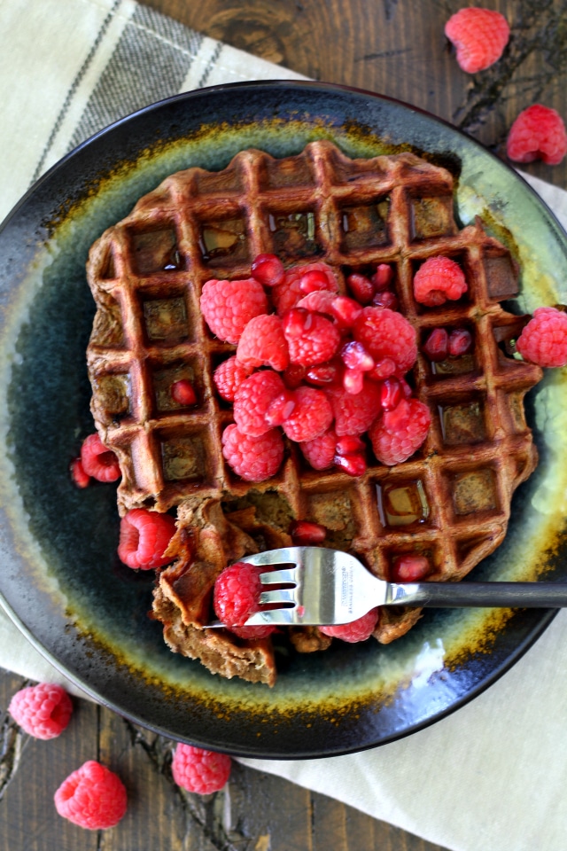 These single-serving Chocolate Protein Waffles are packed with protein, and ready in 5 minutes so you can have healthy, gluten free waffles at a moment's notice!