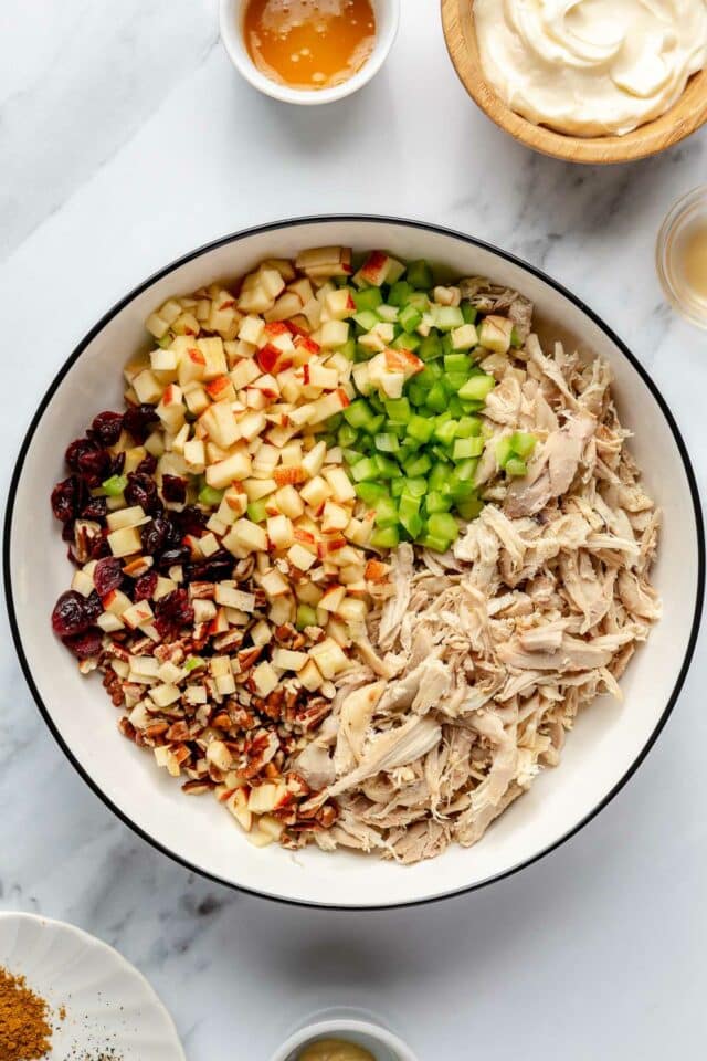 Shredded chicken, chopped apple, celery, pecans and cranberries in a white bowl.