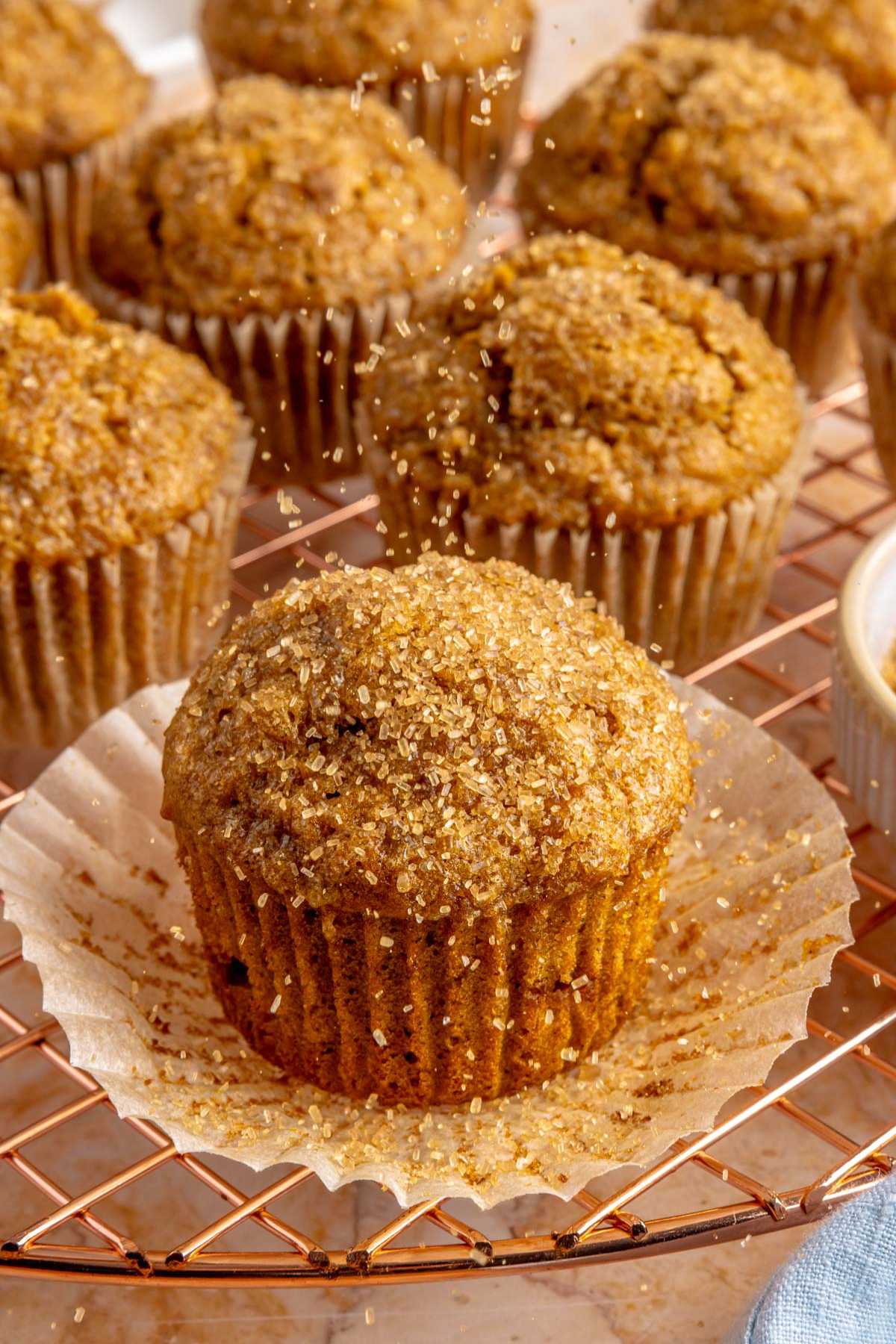 Sprinkling sugar over the top of pumpkin banana muffins.