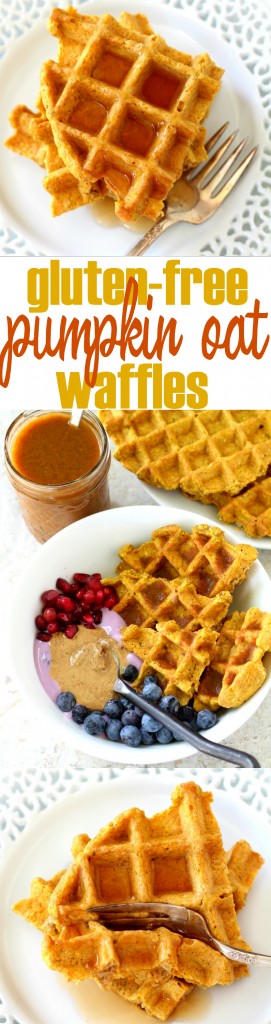 Gluten-Free Pumpkin Oat Waffles - loaded with delightful fall flavor without any of the guilt. Whip them up in the blender to get your morning started easily and deliciously!