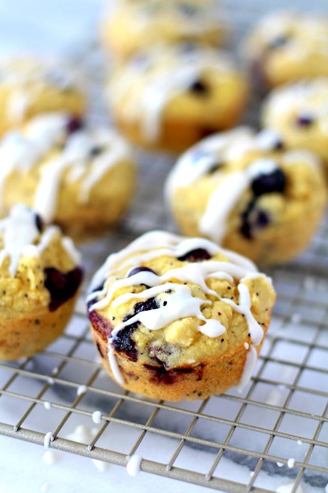 Paleo Lemon Blueberry Muffins - Moist and flavorful healthy blueberry muffins that are made without refined sugar or butter. No one will ever be able to tell that these muffins are better for you!