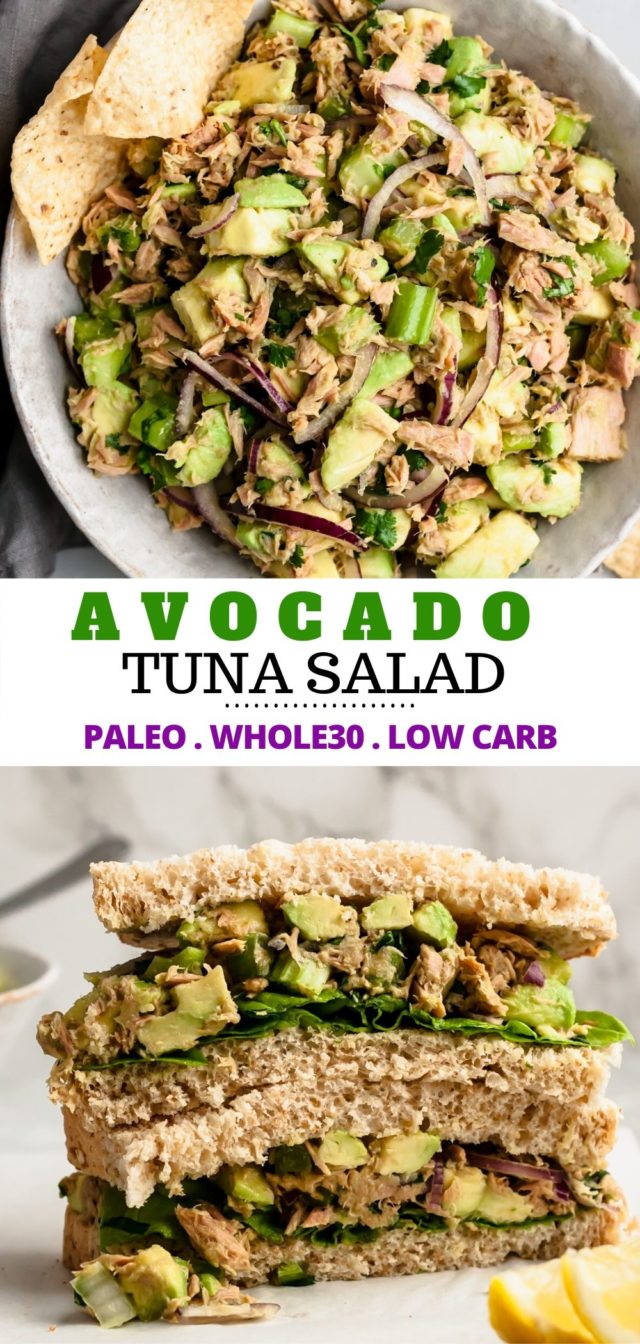 how to make avocado tuna salad
