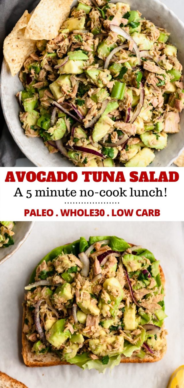 avocado tuna salad over a slice of bread