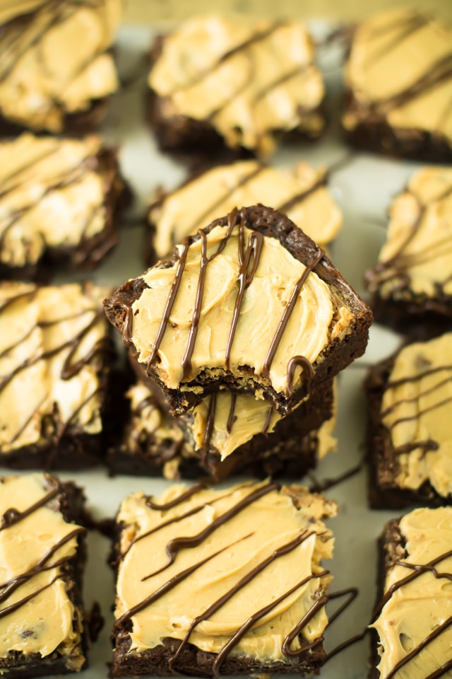 If you love chocolate and peanut butter, you're in for a real treat! These easy peanut butter brownies are fudgy, filled with chocolate chips, swirled with peanut butter, and are finished off with a decadent and delicious swirl of peanut butter frosting.