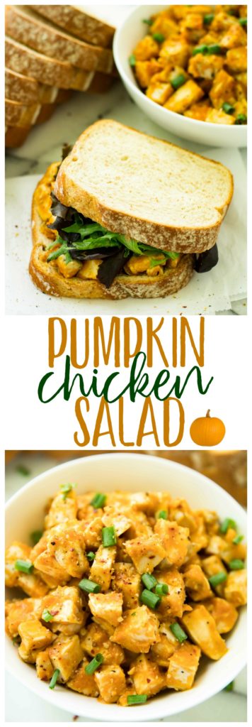 Brimming with savory fall flavors, this Spicy Pumpkin Chicken Salad Sandwich is bound to be a lunch recipe you'll want to enjoy all season long!