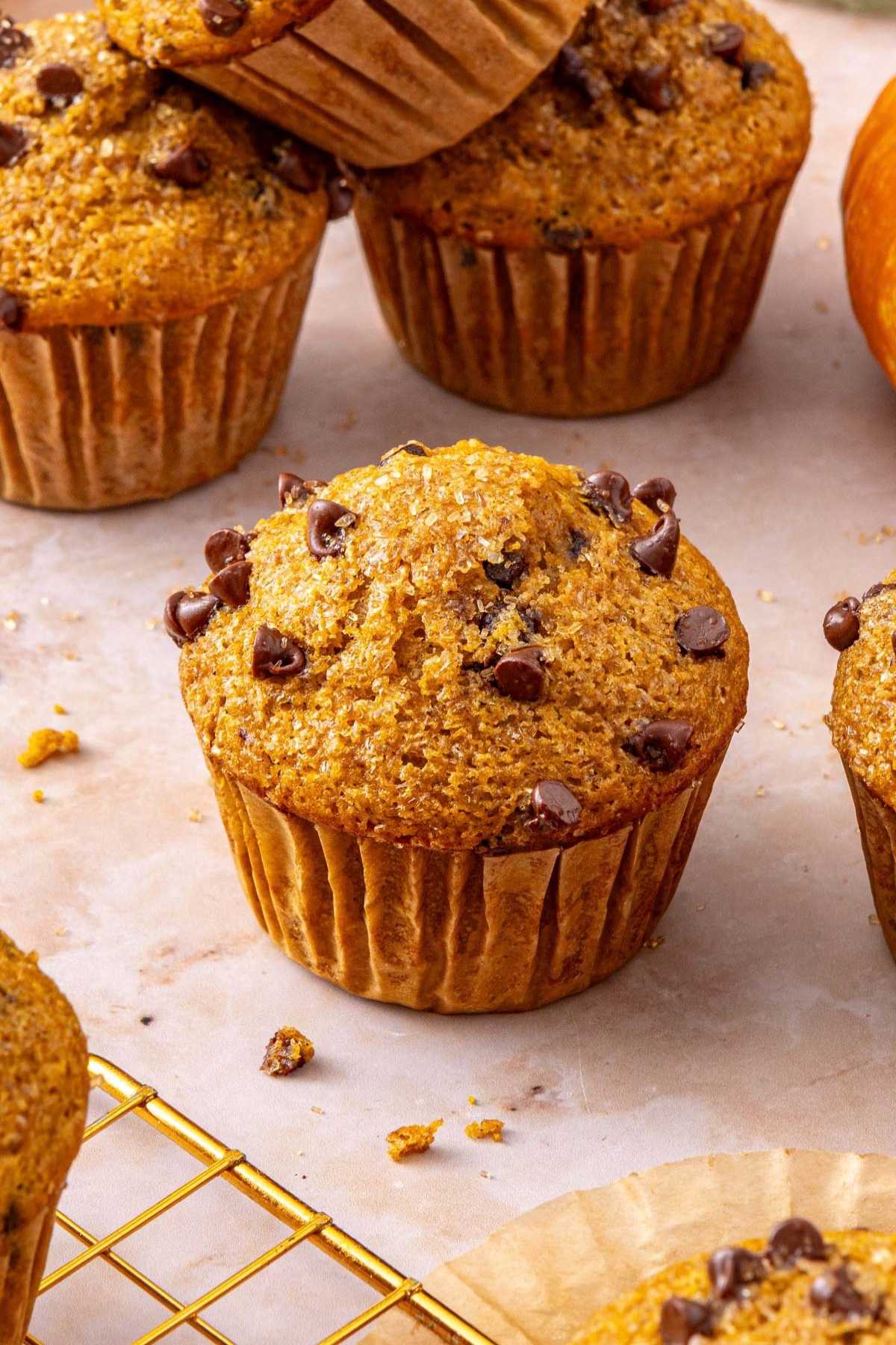 Pumpkin protein muffin topped with chocolate chips.