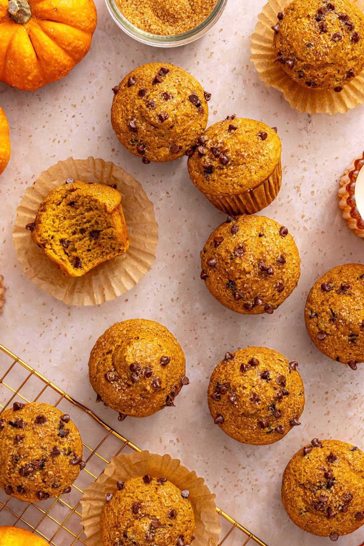 Pumpkin protein muffins topped with chocolate chips.