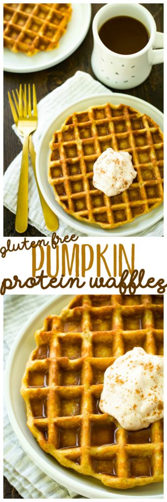 An incredibly easy to make recipe, these Gluten-Free Pumpkin Protein Waffles work as a delicious breakfast, snack, or even cozy dessert!