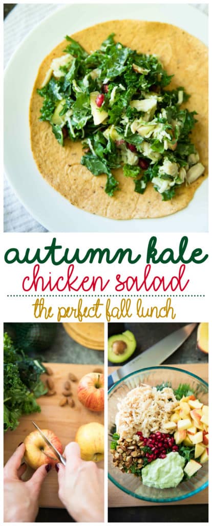 Autumn Kale Chicken Salad features apple, avocado and almonds in this delicious fall salad recipe. Serve this easy salad in a wrap for a yummy lunch!