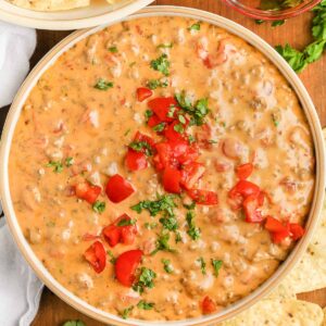Rotel dip garnished with tomatoes and cilantro.