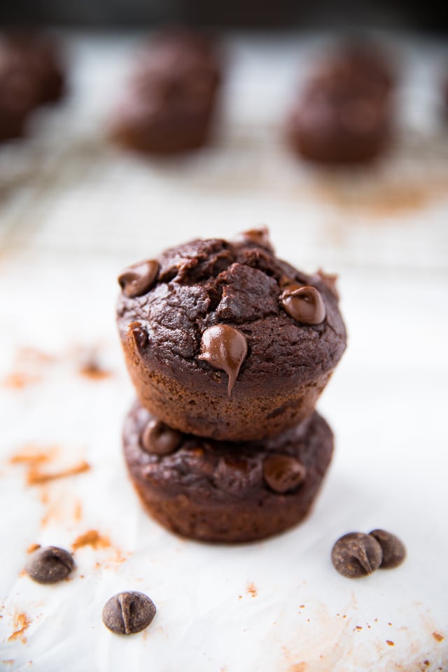 Best Healthy Double Chocolate Banana Muffins Kim S Cravings,Common Birds In Minnesota