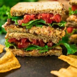 Pimento cheese sandwich served with chips.