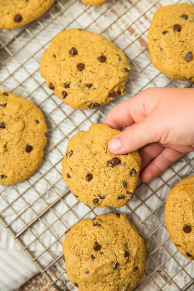 Low Carb Gluten Free Chocolate Chip Cookies on a wire cooling rack with a child's hand reaching out to grab one