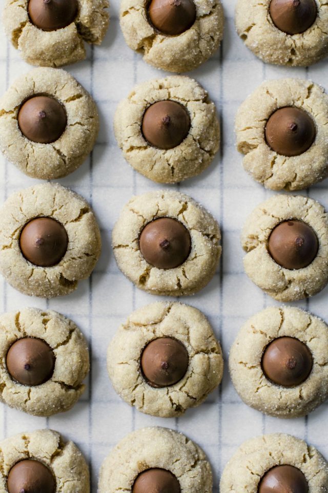 peanut butter blossoms evenly placed on a cookie sheet