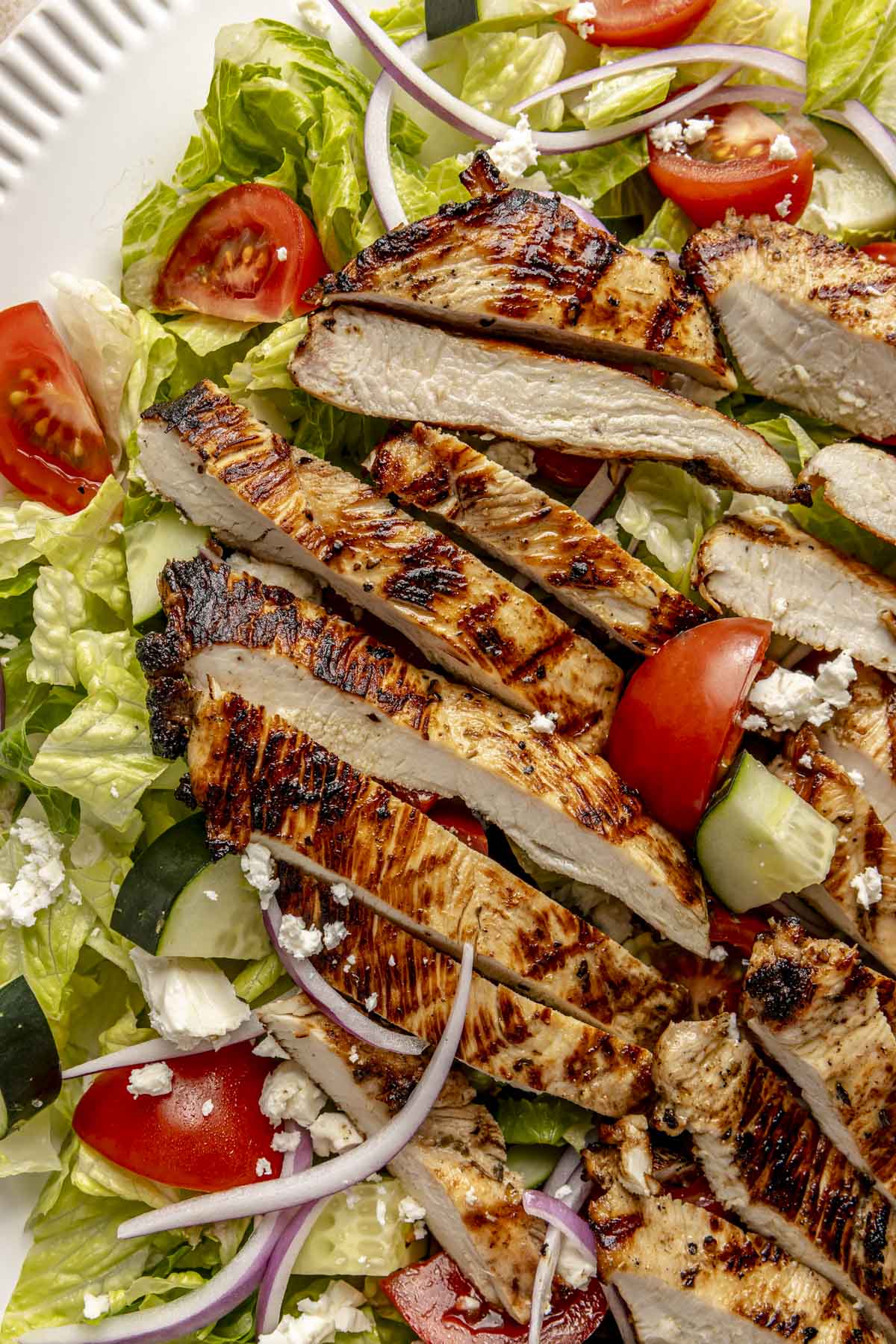 Grilled chicken sliced and served over a salad with cucumbers and tomatoes.