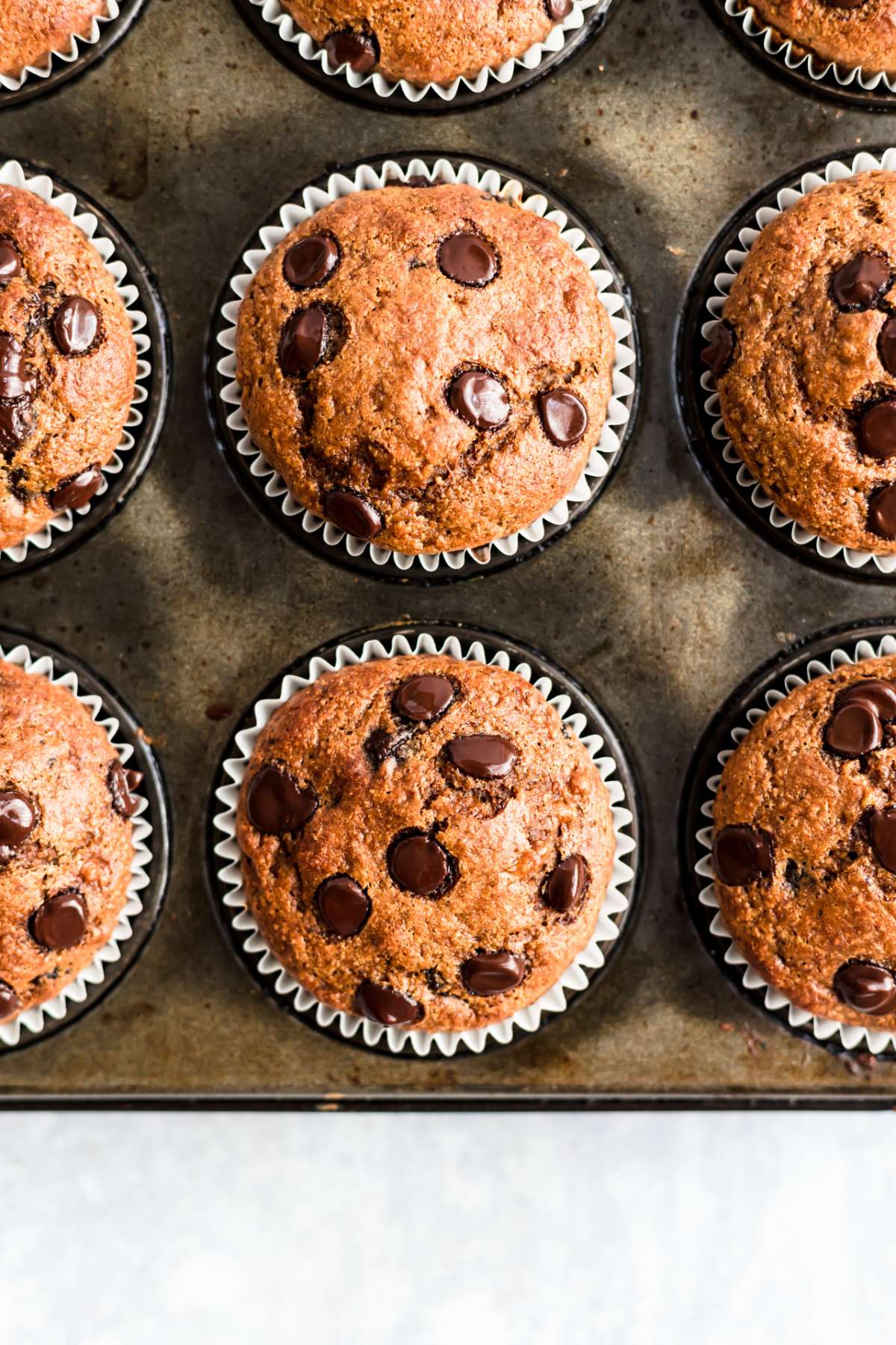 Chocolate chip pumpkin muffins in a muffin tin.