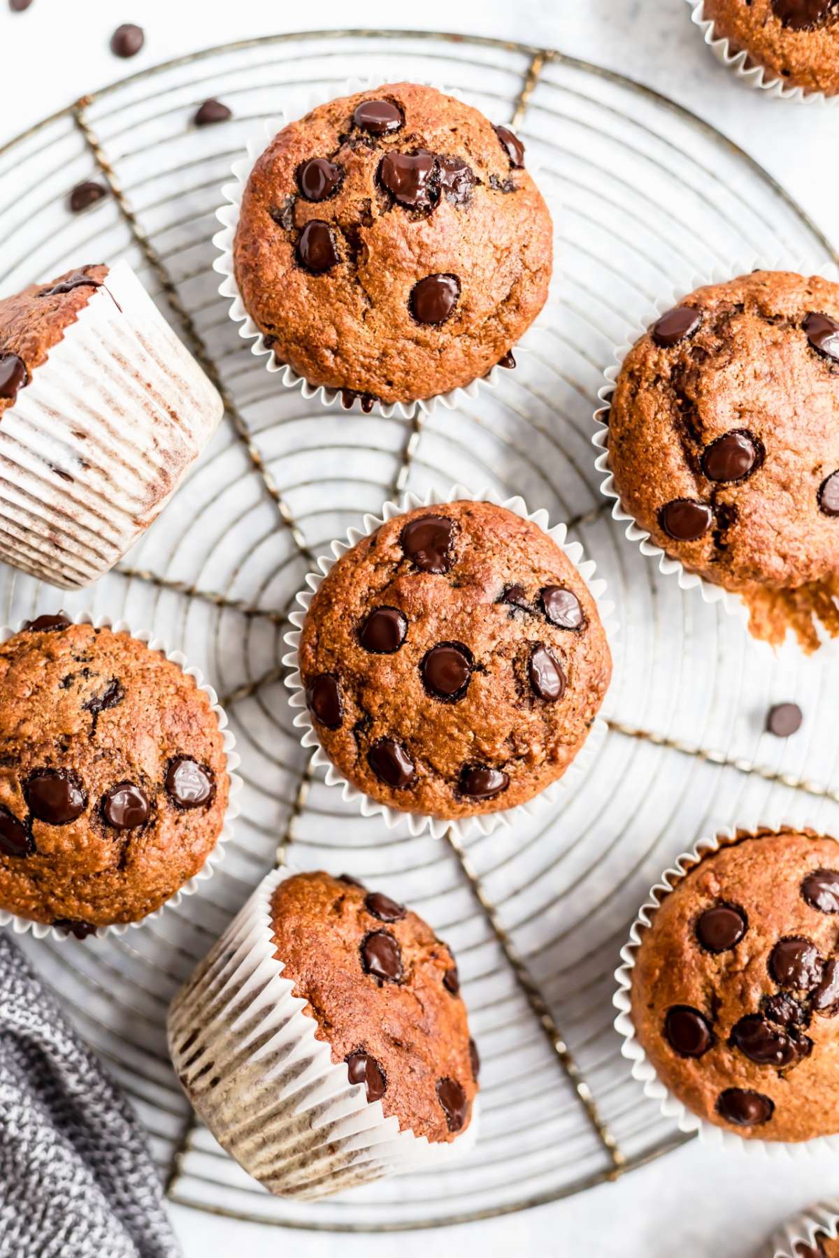 Chocolate chip pumpkin muffins on a wire rack.