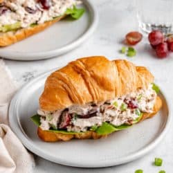 chicken salad with grapes served on a croissant