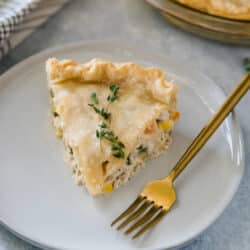 serving of chicken pot pie on a white plate with a gold fork