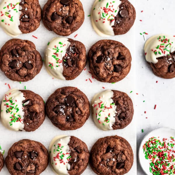 double chocolate chip cookies with icing and sprinkles