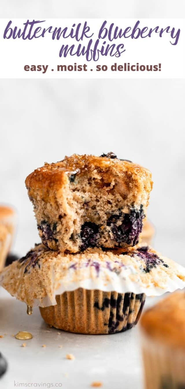 buttermilk blueberry muffin with a bite taken out