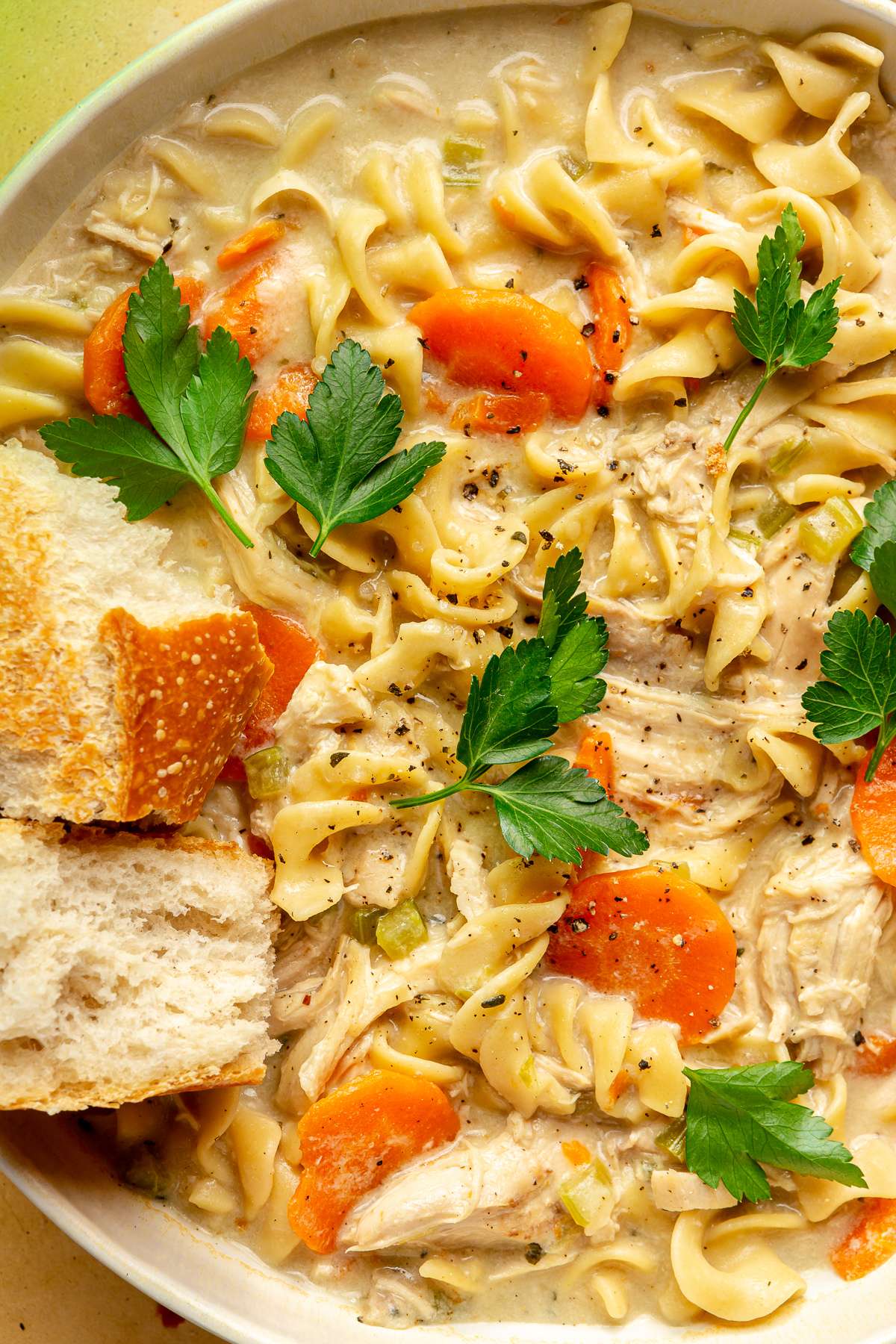 Closeup view of creamy chicken noodle soup with bread.