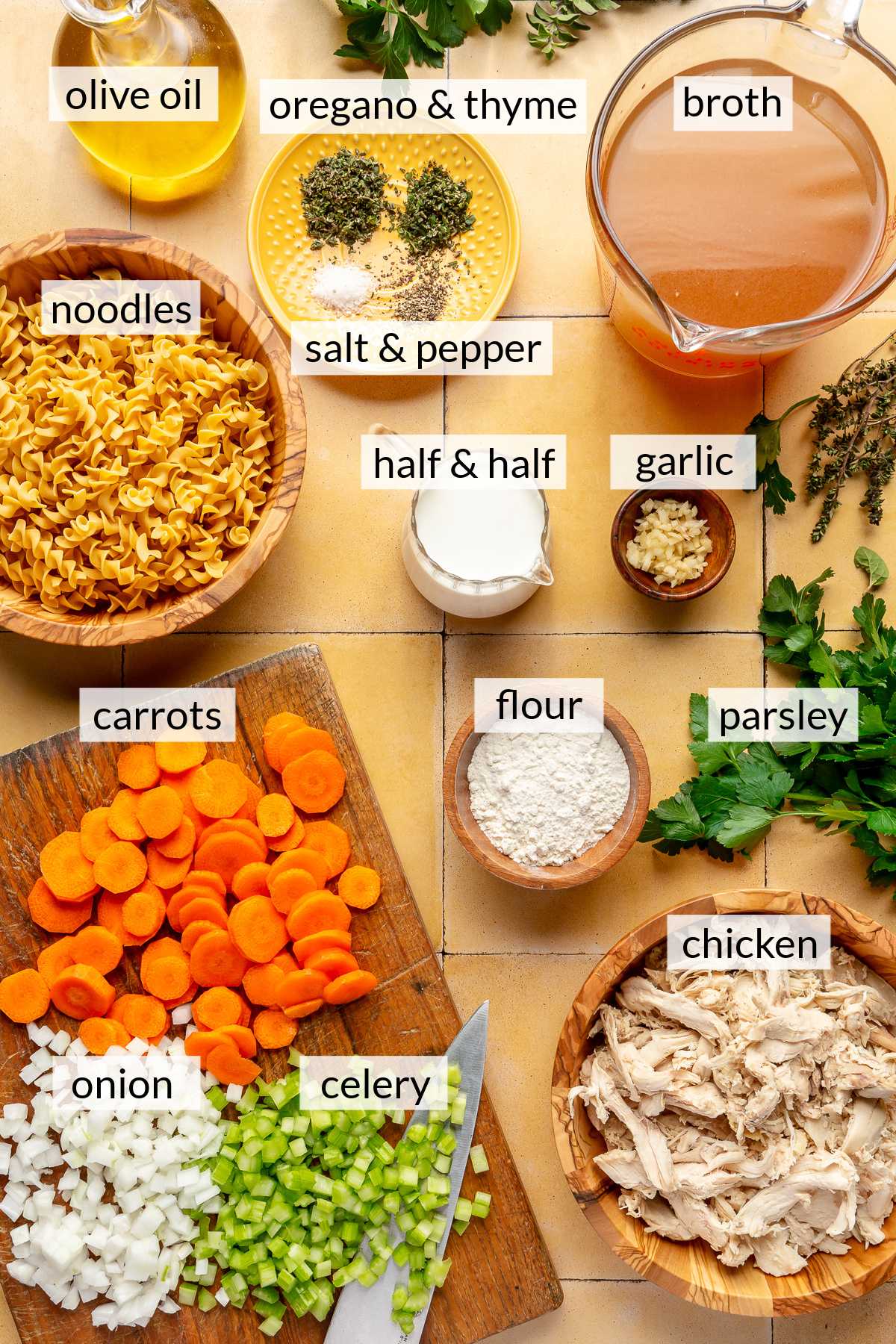 Shredded chicken, sliced carrots, diced celery, onion, broth, noodles and seasonings.