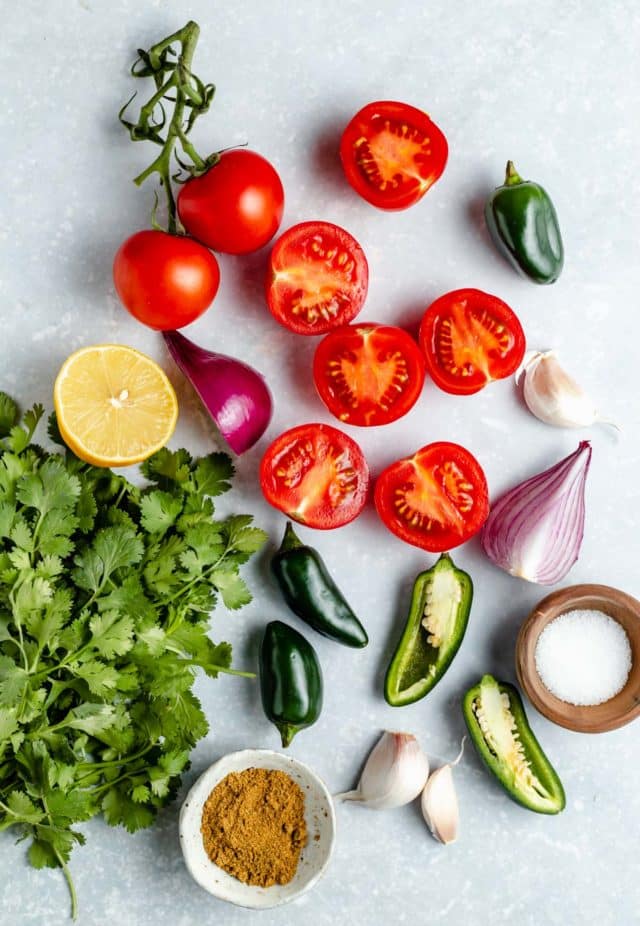 fresh salsa ingredients - tomatoes, jalapeños, cilantro and onion