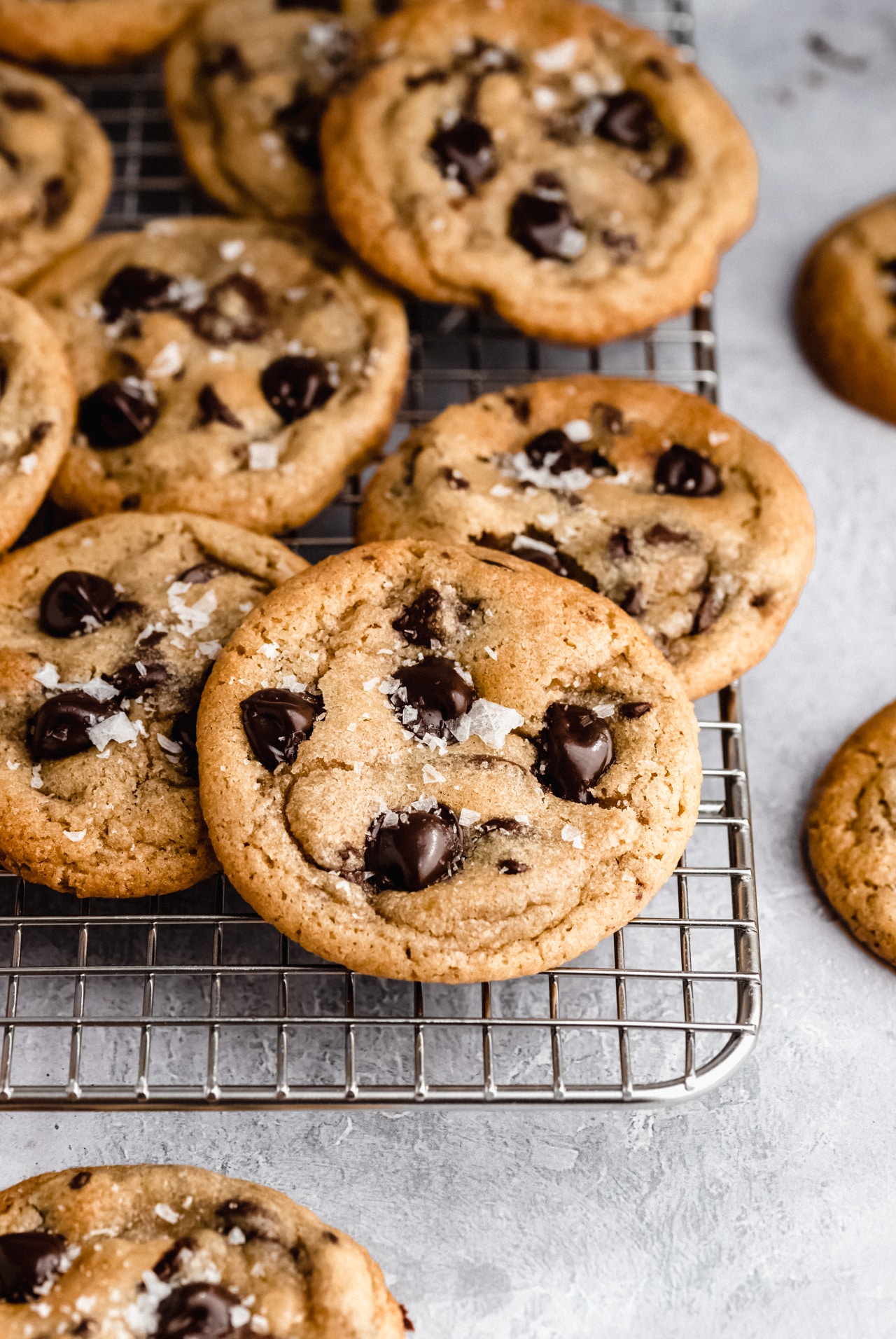 Chewy Chocolate Chip Cookies - A favorite recipe!