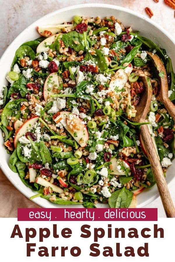 Farro Salad with apples, spinach, cranberries, pecans and feta