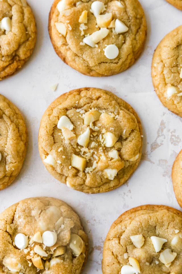 thick and chewy white chocolate macadamia nut cookie