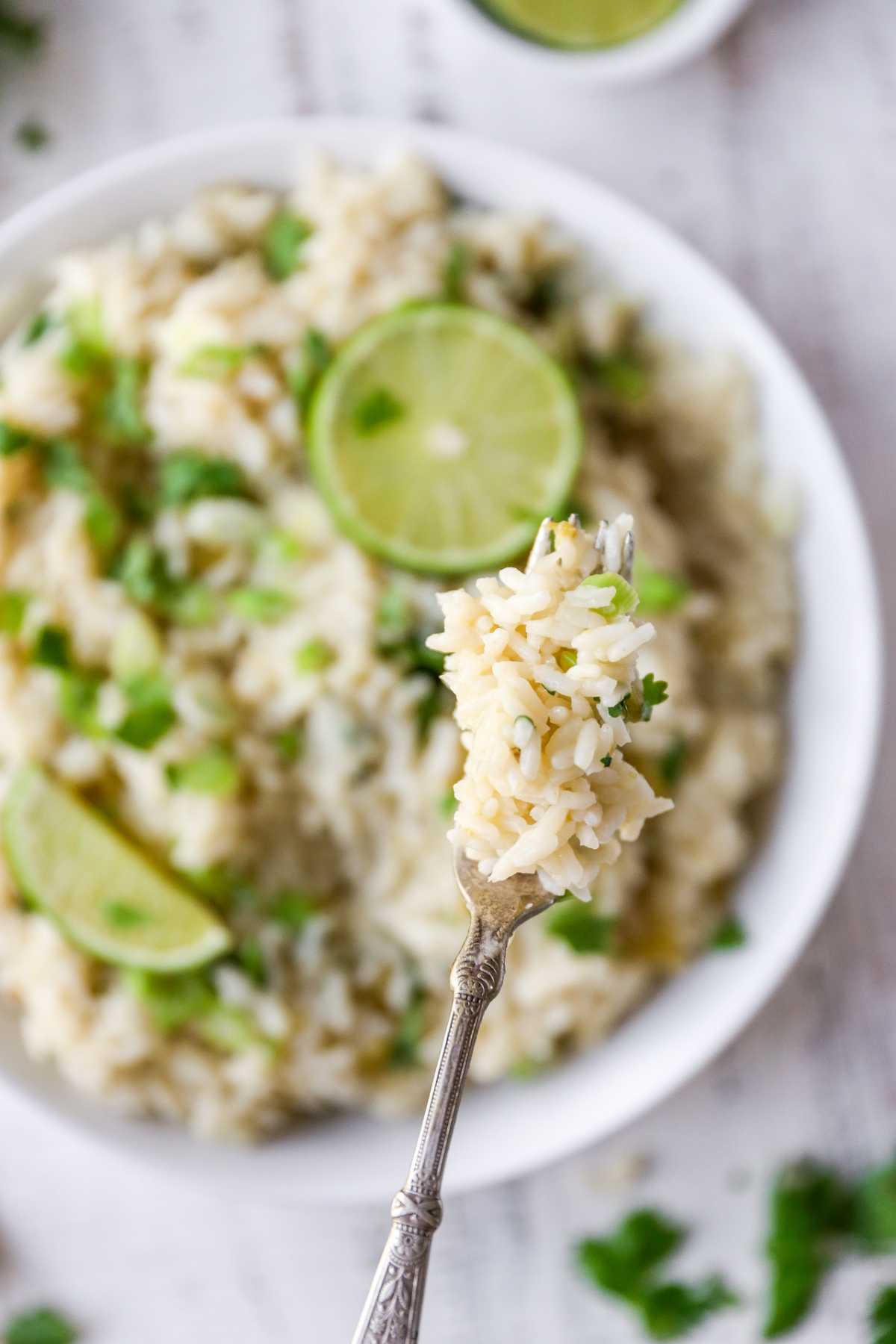 Forkful of rice garnished with cilantro. 