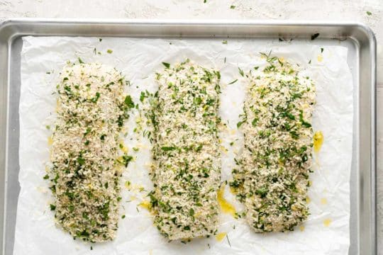 halibut fillets dredged in breadcrumbs and herbs