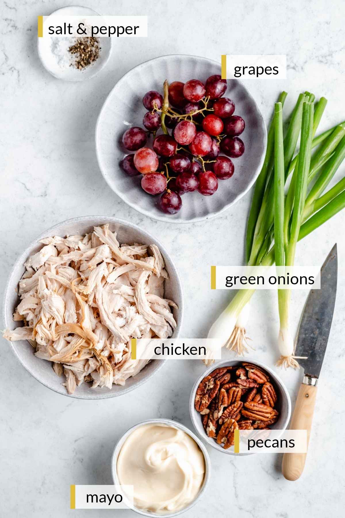 Shredded chicken, grapes, pecans and mayo divided into small bowls.