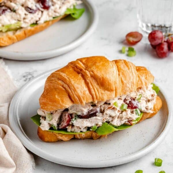 Chicken salad served on a croissant.