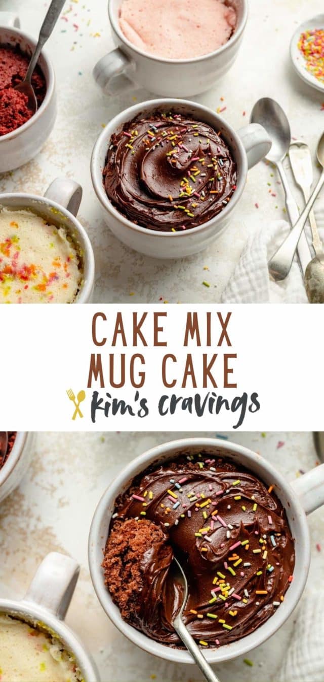 Dictation Revision champion Cake Mix Mug Cake - Kim's Cravings