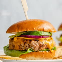 Chicken burger topped with avocado, cheese and red onion.