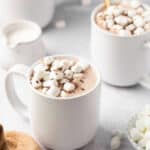 White cups of hot chocolate topped with marshmallows.