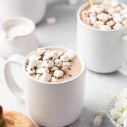 White cups of hot chocolate topped with marshmallows.
