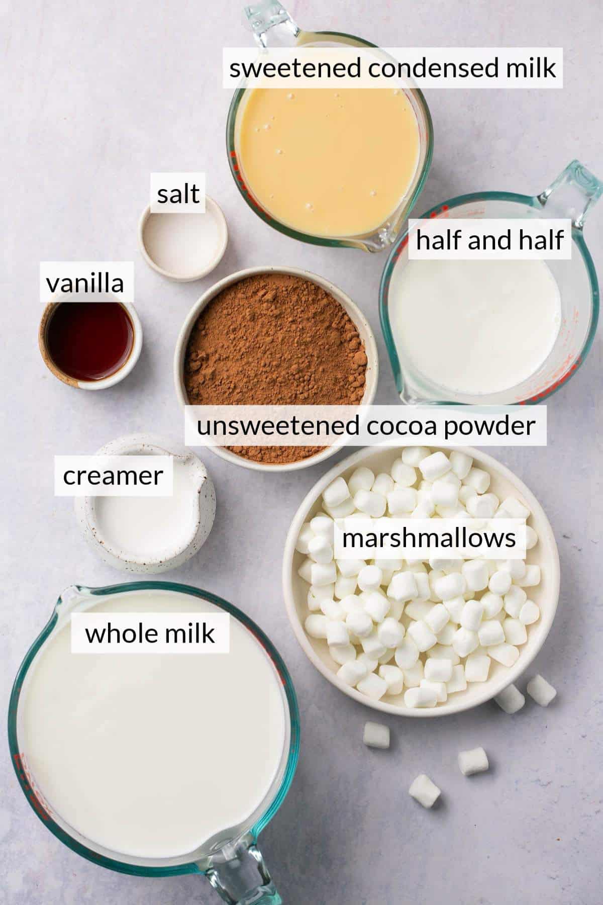 Bowls with cocoa powder, marshmallows, milk and vanilla.