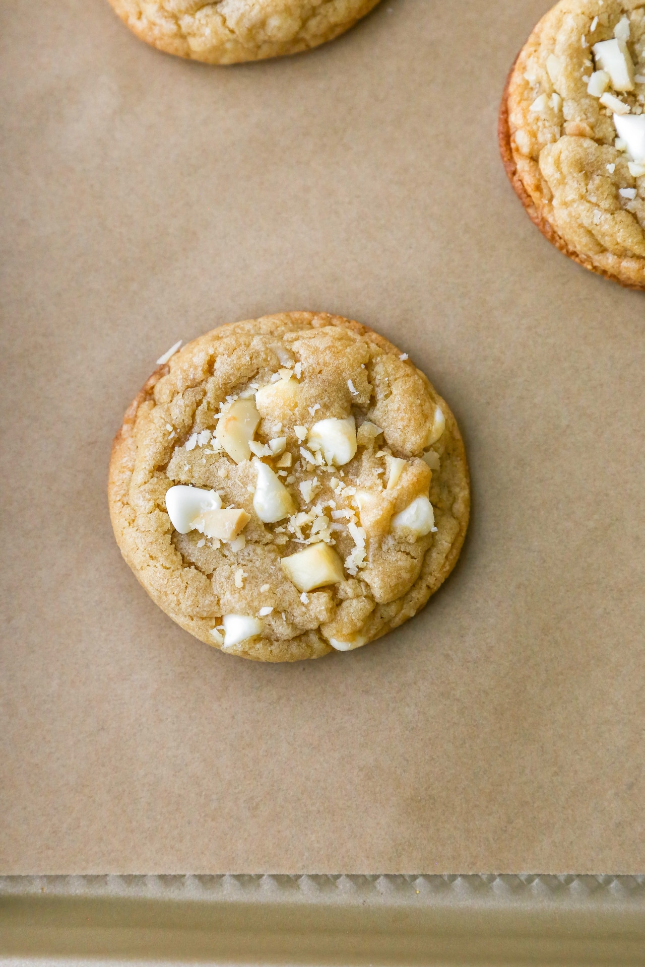 A baked white chocolate macadamia nut cookie on a baking sheet.