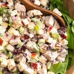 Chicken salad with apples in a bowl with lettuce.