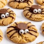 Spider Cookies topped with mini Reese's peanut butter cups.