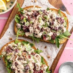 Cranberry chicken salad served on slices of bread.