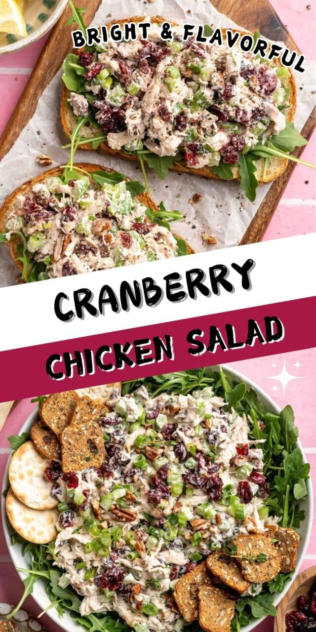 Cranberry chicken salad served in a bowl with crackers.
